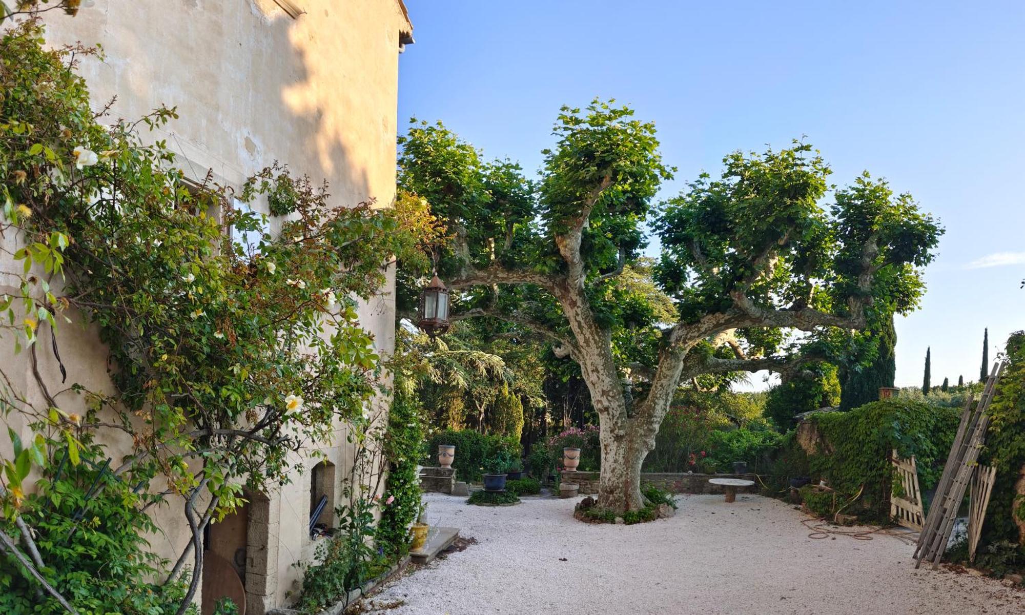 Rue Du Chateau A Cabrieres D'Avignon Bed & Breakfast Eksteriør bilde